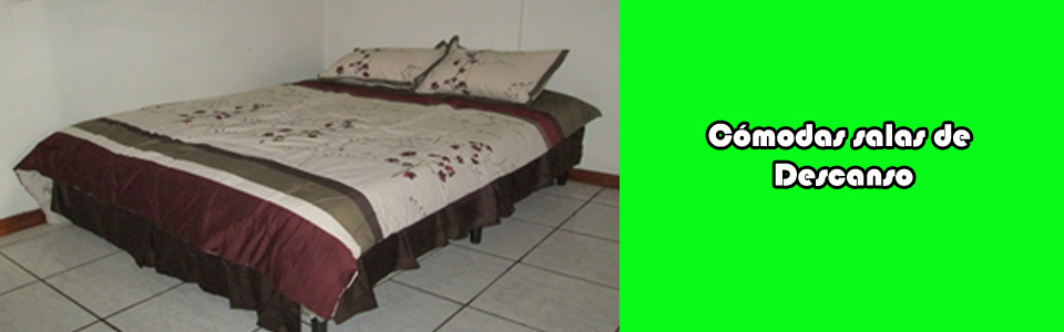 baner